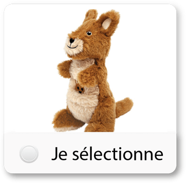 Gagnez 100€ de jouet pour chien